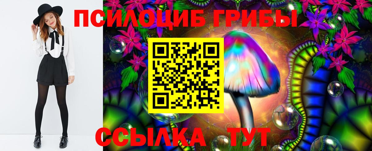 Псилоцибиновые грибы ЛСД  Вход с VPN  Псилоцибиновые грибы GOLDEN TEACHER  Борисоглебск 